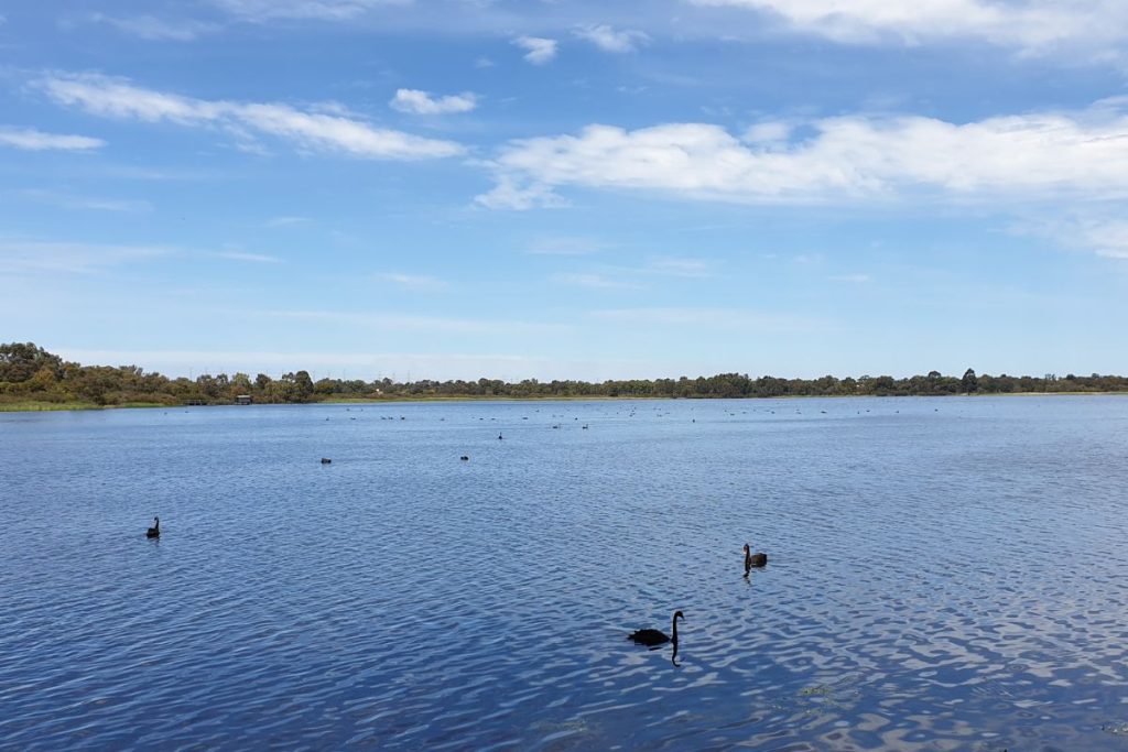 Coogee Hamilton Hill Henderson Lake Coogee Munster North Coogee Spearwood